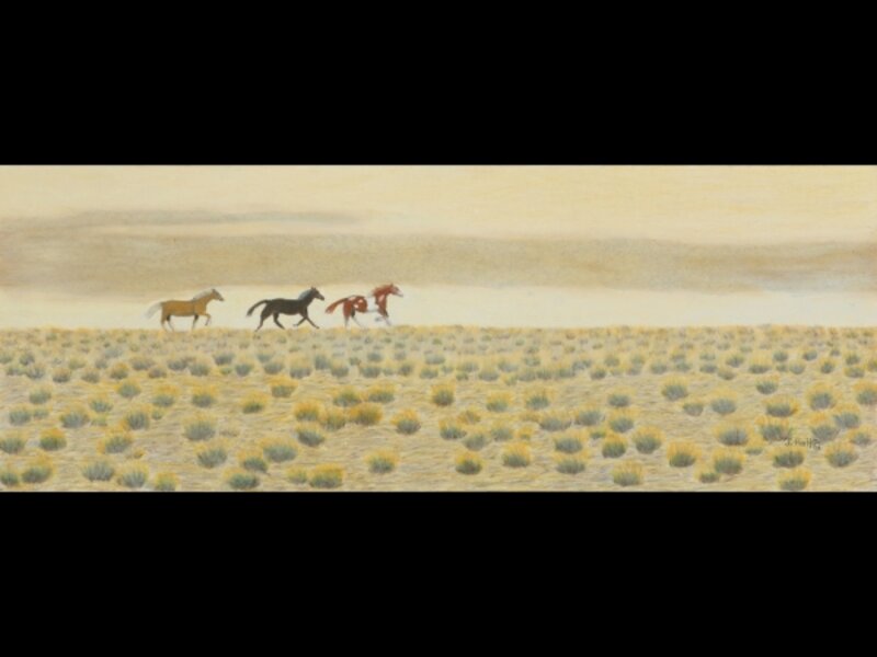 "Wild Country" - Wild Horses