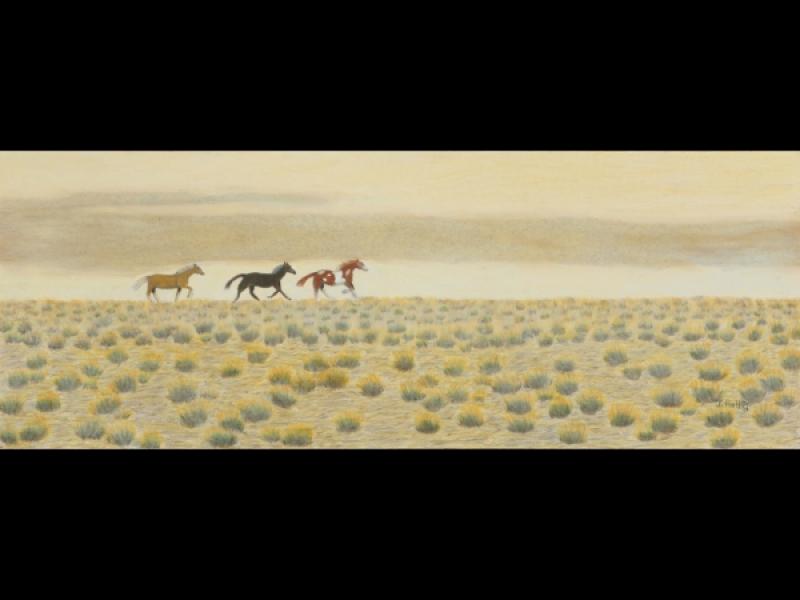 "Wild Country" - Wild Horses
