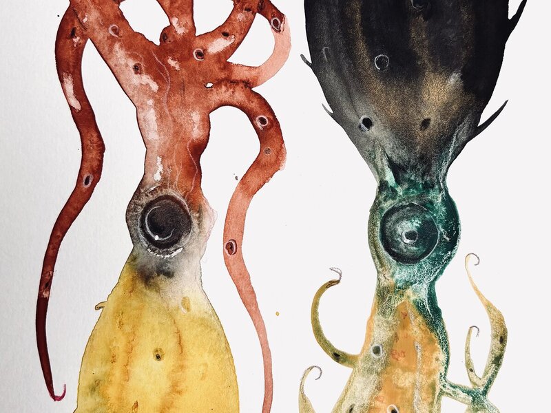 Painting of imaginary cephalopods, May, 2026.