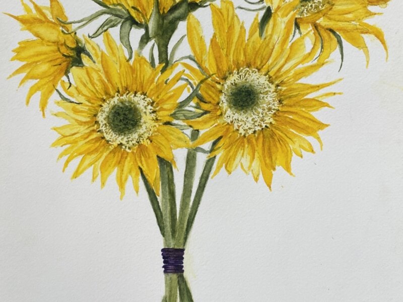 Glorious Sunflowers