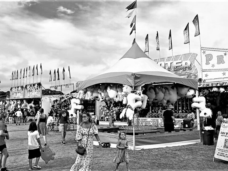 Life is a Ag Fair MV 2021
