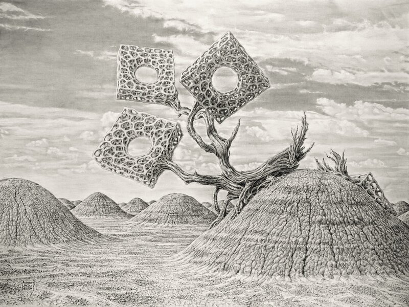 Surreal Evolution Series