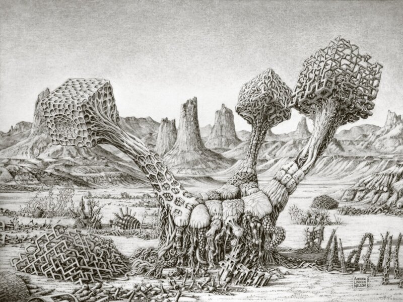 Robot 29: Plantimal 1