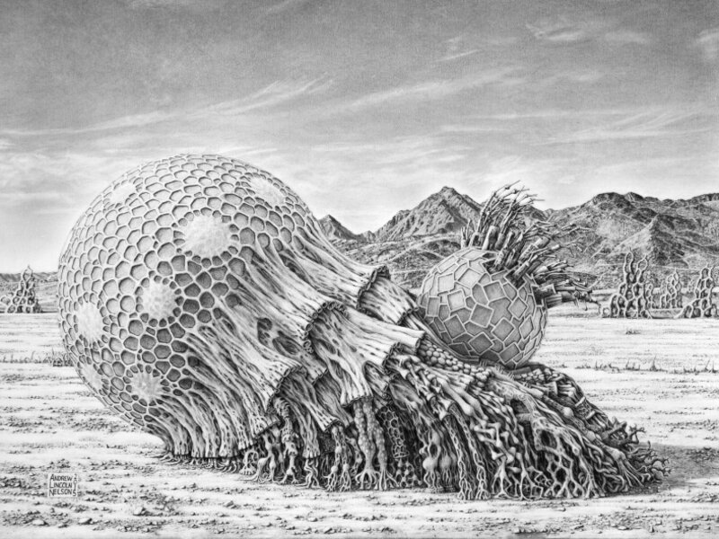 Robot 30: Plantimal 2: Andrew Lincoln Nelson