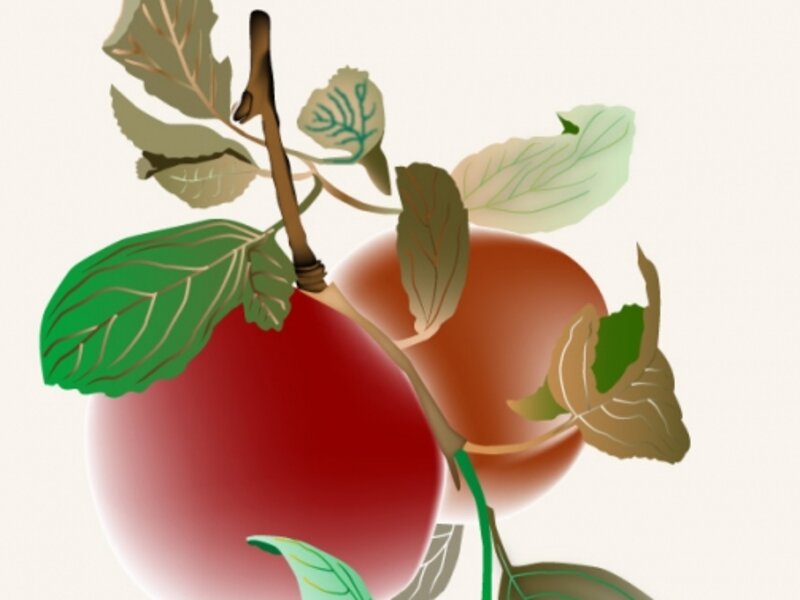 Apples