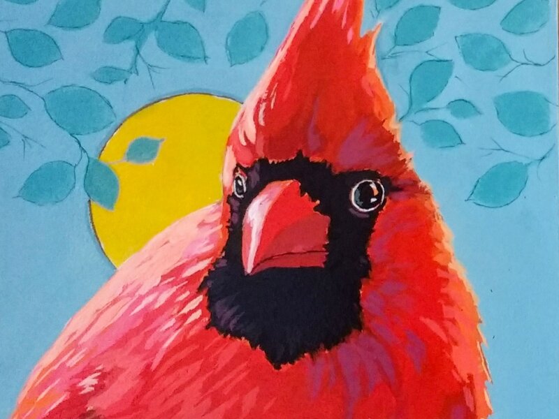 Cardinal (Male)