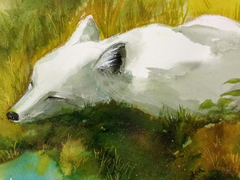 Little White Fox
