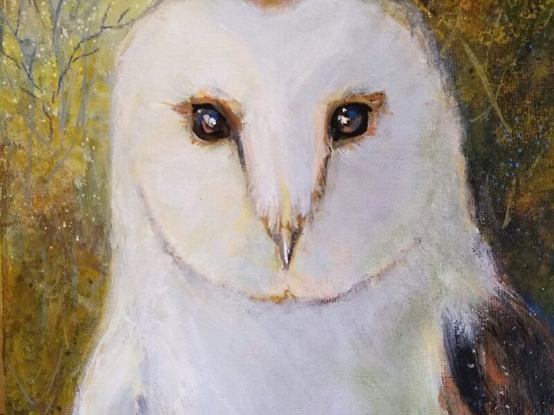 Jasper the Barn Owl