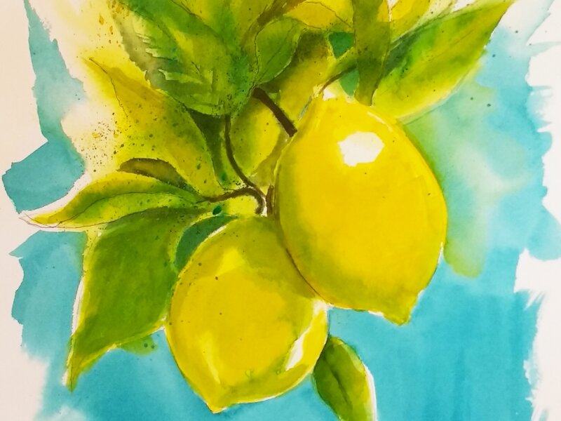 Lemon Tree