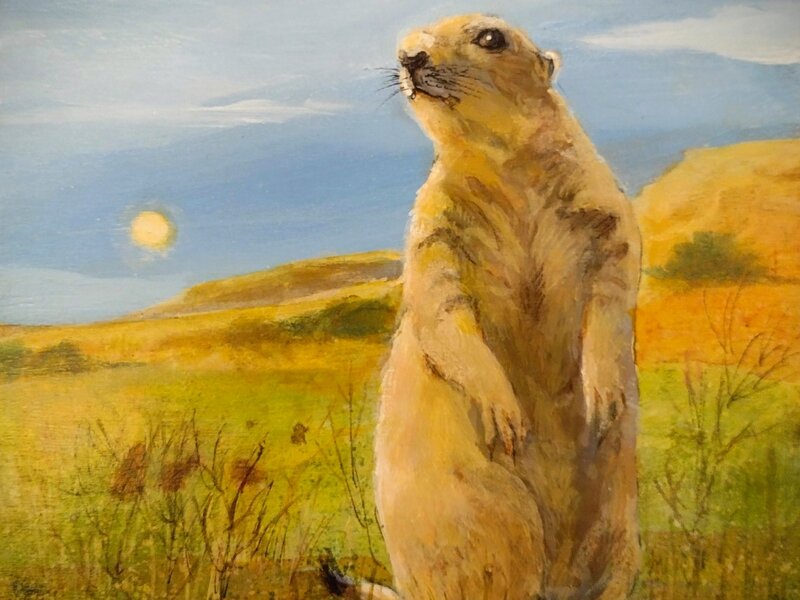 Prairie Dog 2022