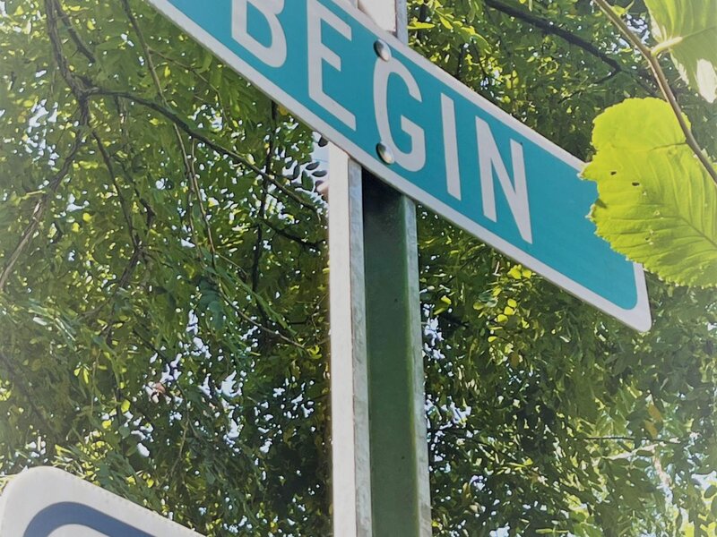 a street sign by a tree that says "begin"