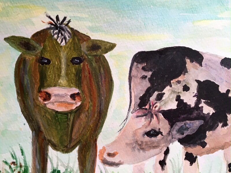 " Cows "
