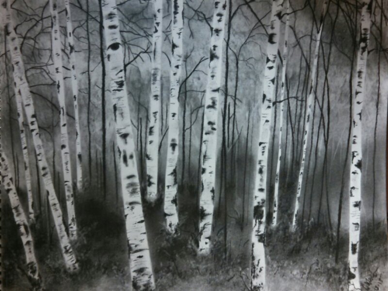 Red River Aspens