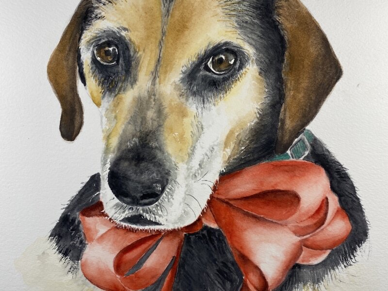Sophie's Christmas Bow