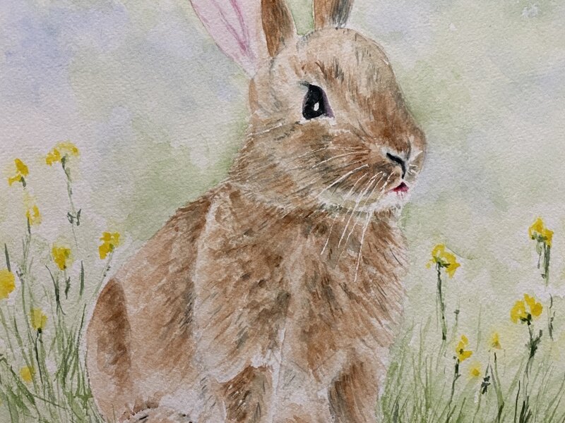 The Bunny