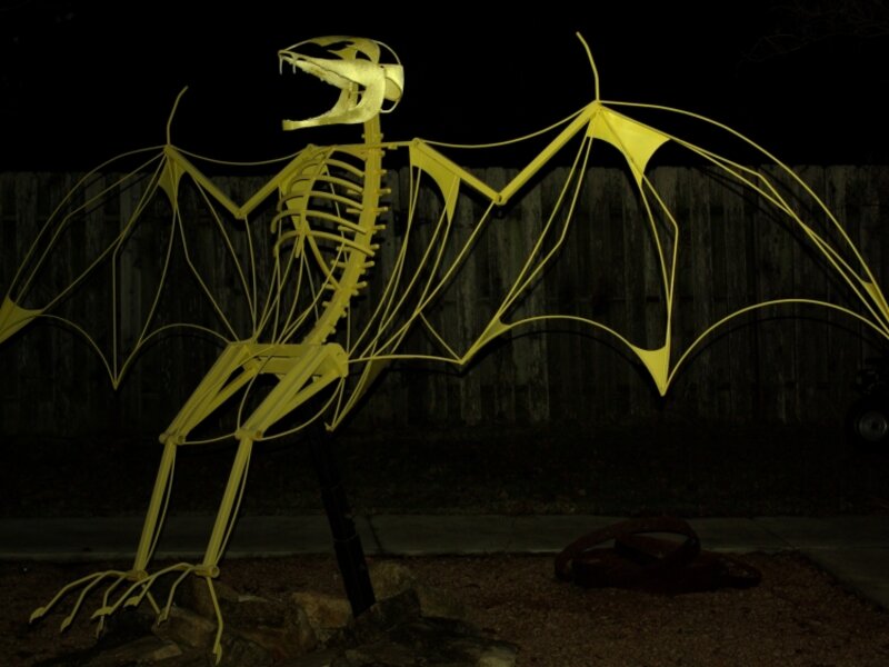Bat