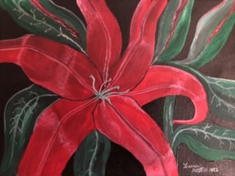 Red Lilly 