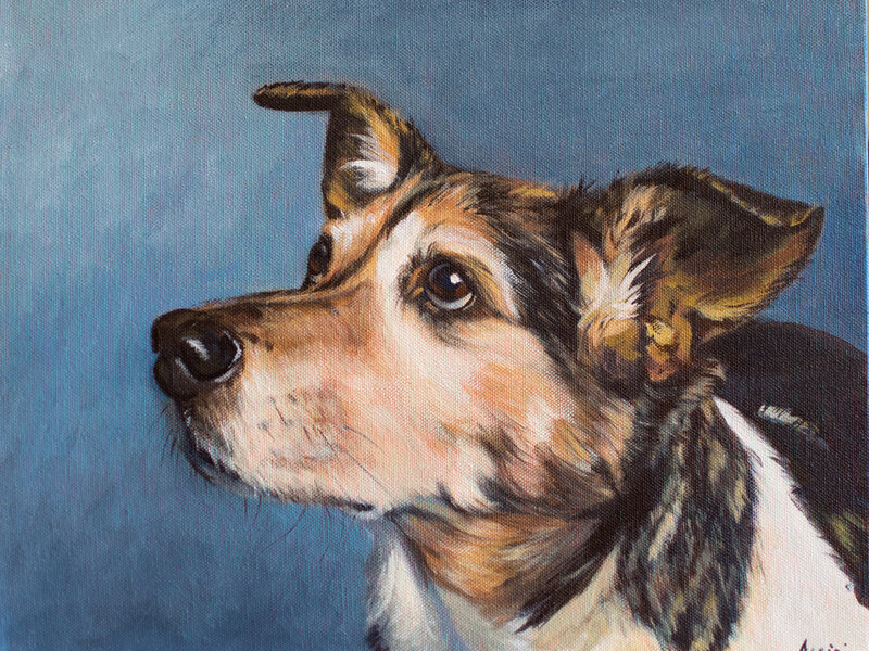 Did I Hear You Say Treat?