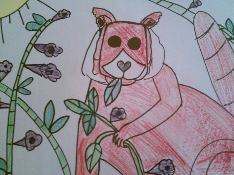 Red Panda Surprise!