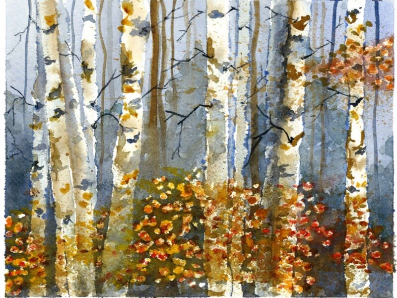 Birches