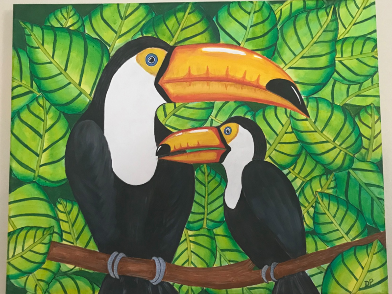 Toucans in the wild!