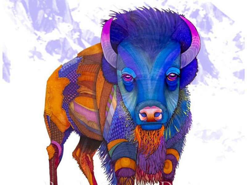 American Bison