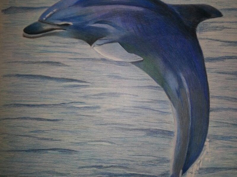 Colored Pencil on Paper