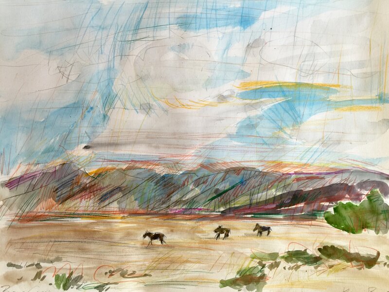 Burros Crossing