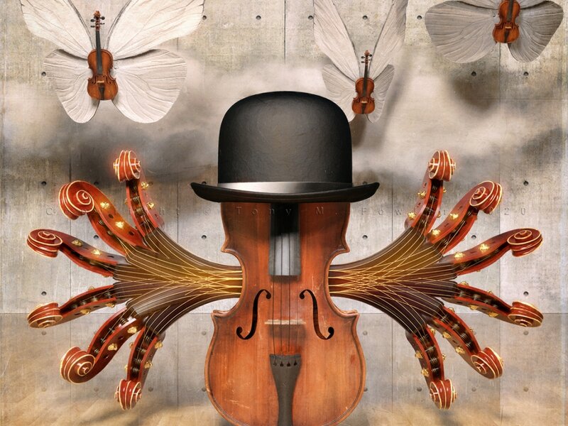Butterfly Man