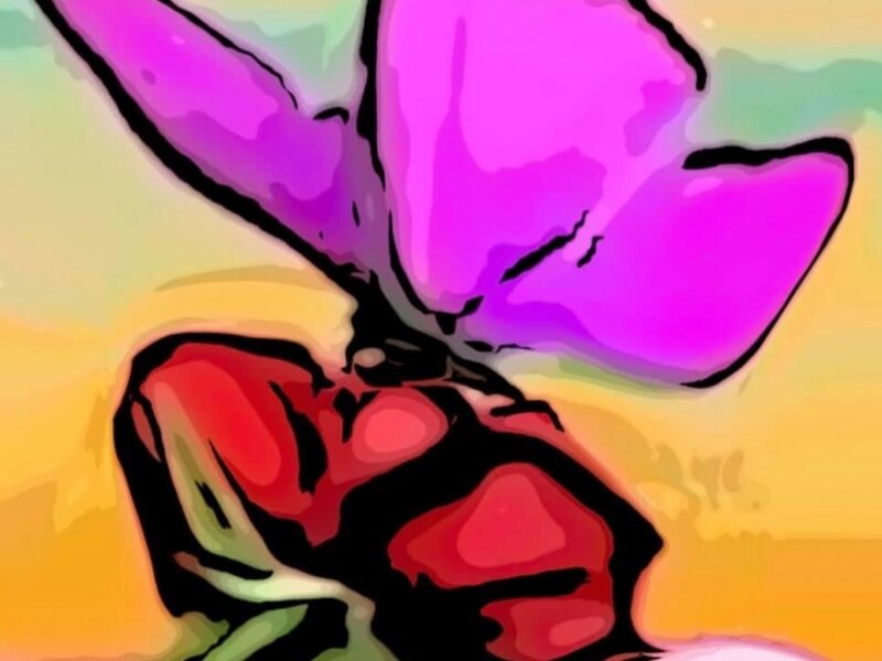 “Butterfly Rose” 