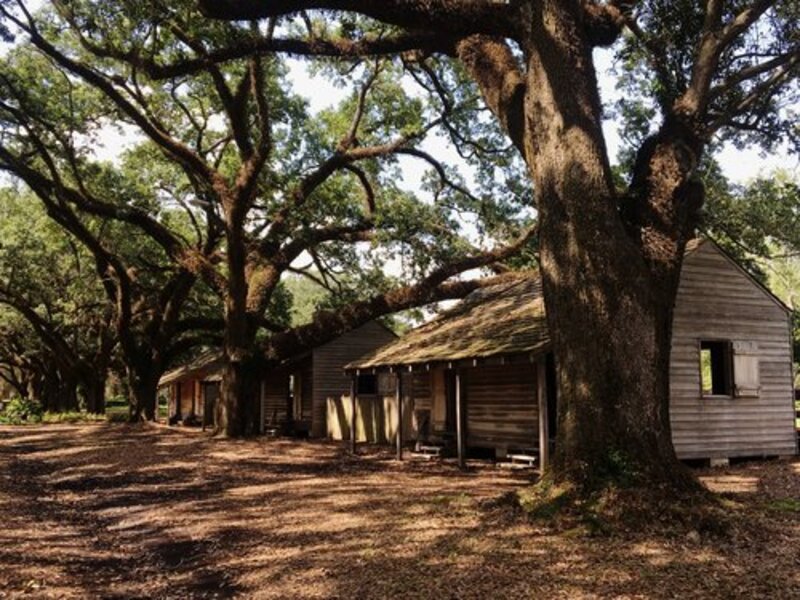 Voices from the Cabins