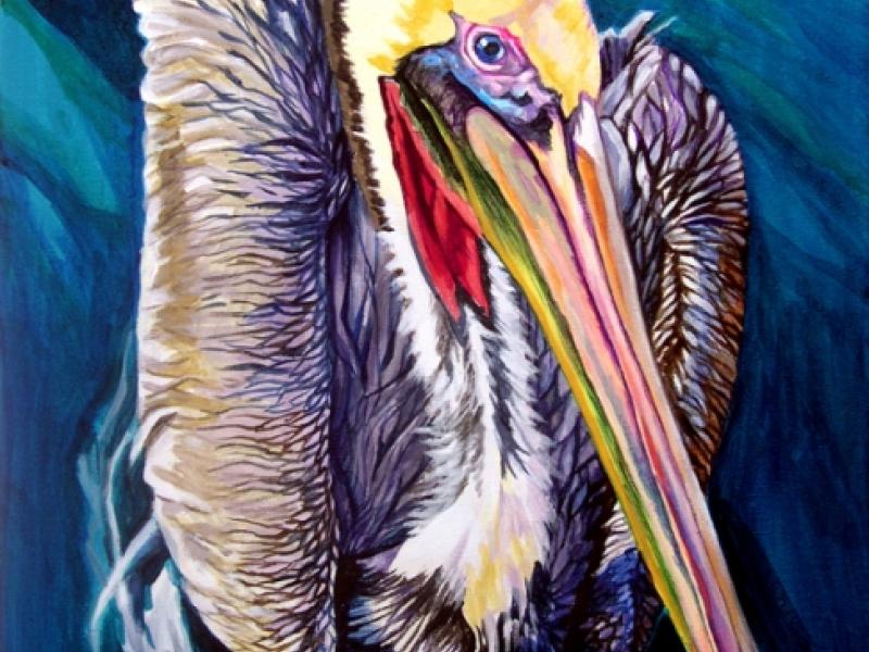 cabo Pelican