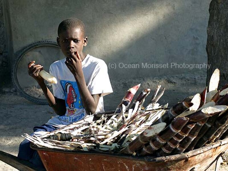 "Sugarcane vendor", 2004