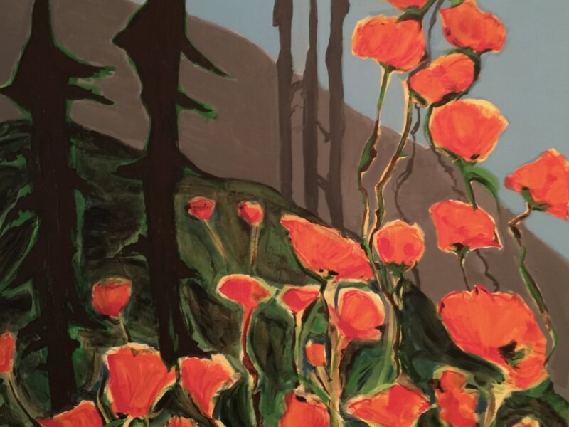 Poppies and Mountains