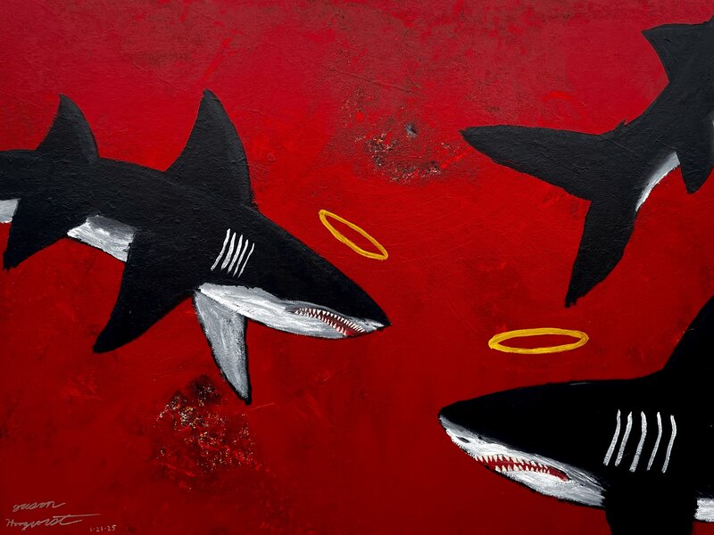 Sharks!