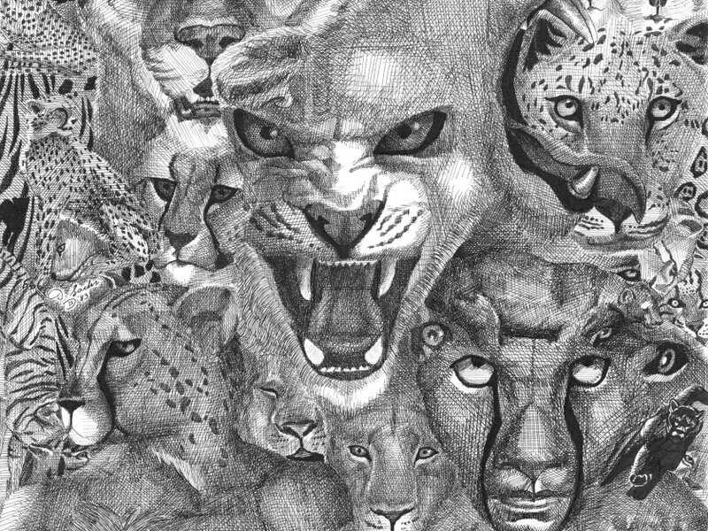 Cats