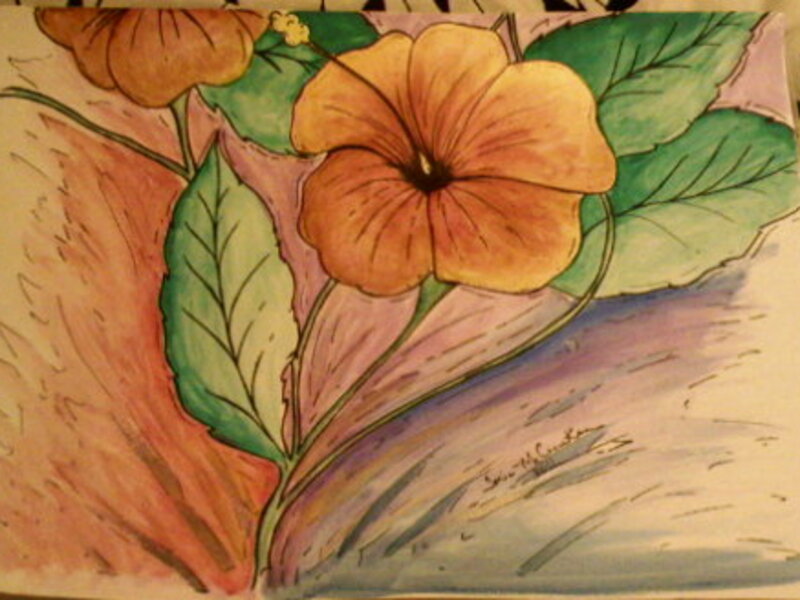 Colors