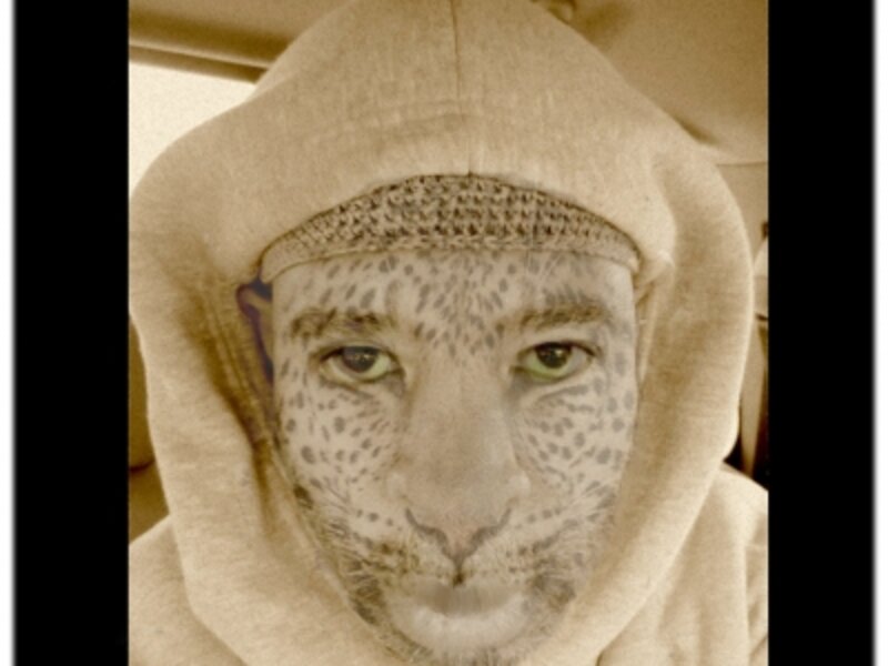 neocat
