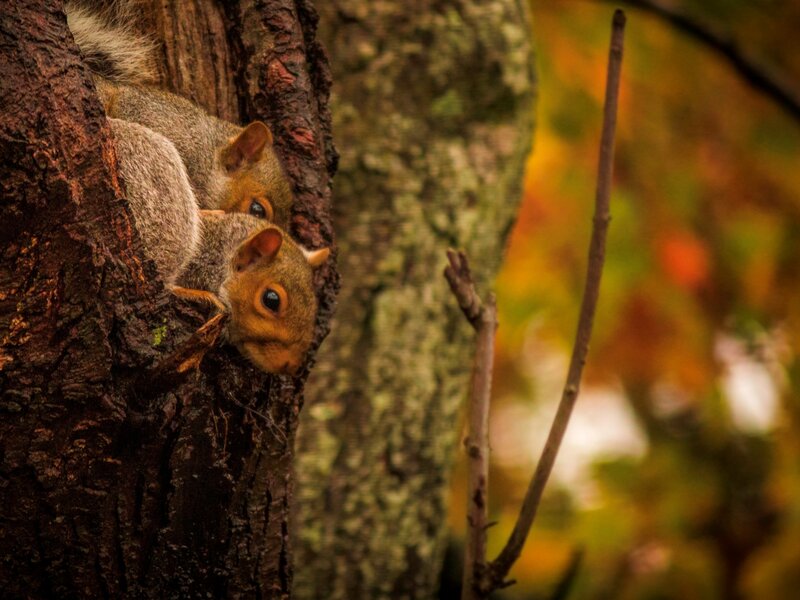 Staying Warm