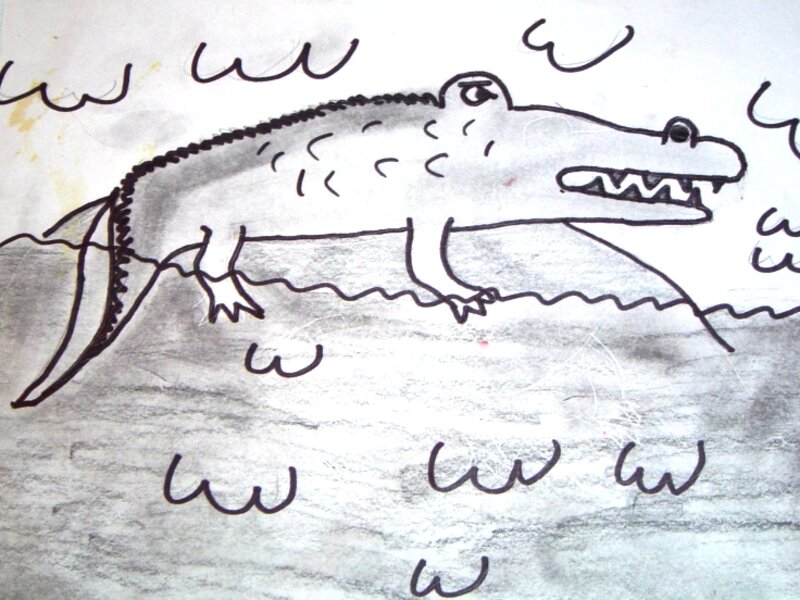 crocodile