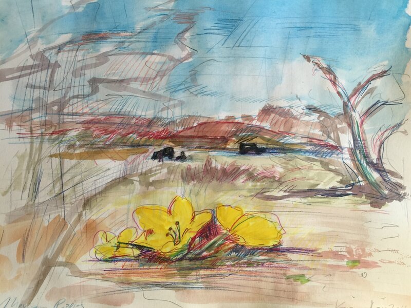Mexican Poppies