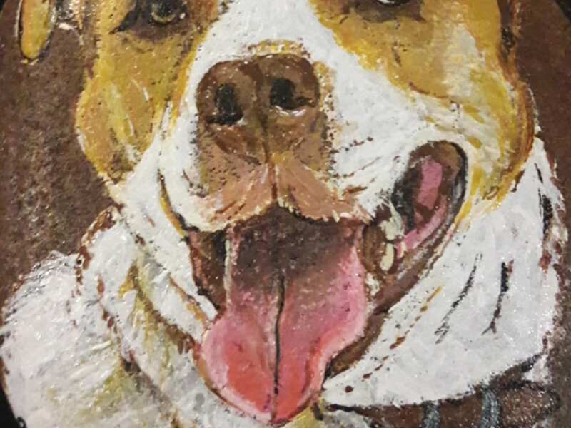 Two-toned dog portrait painted by request.