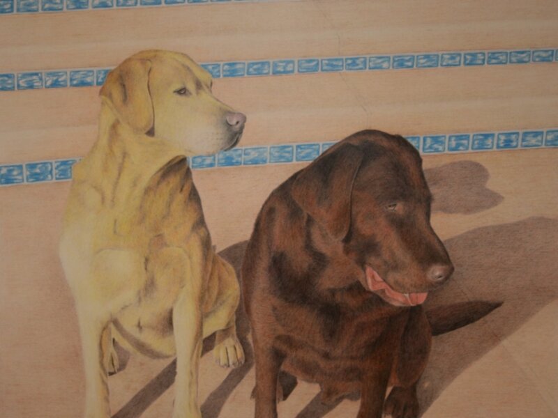 labs