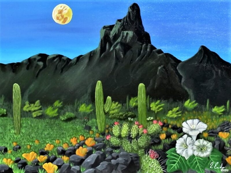 Sacred Moonflower