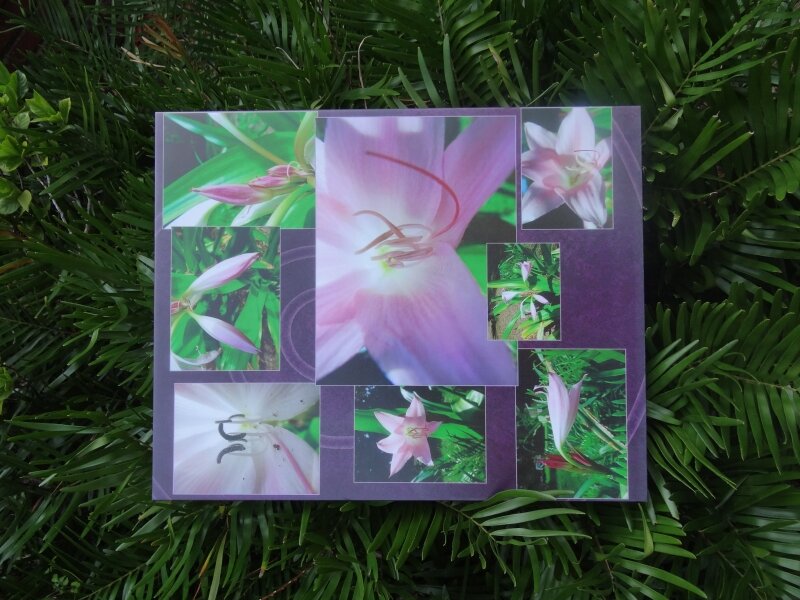 Lilies in the Morning
