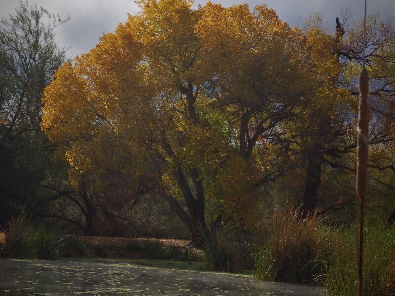 Morning rising in Arizona