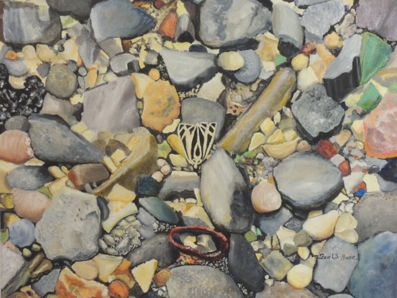Beach Moth
