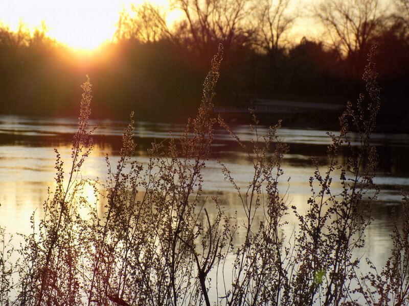 By the pond