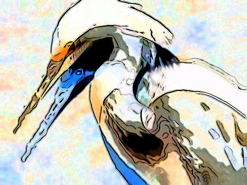 Egret Variation 