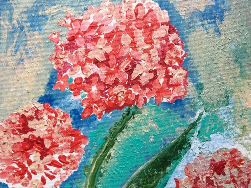 “Red Hydrangea”